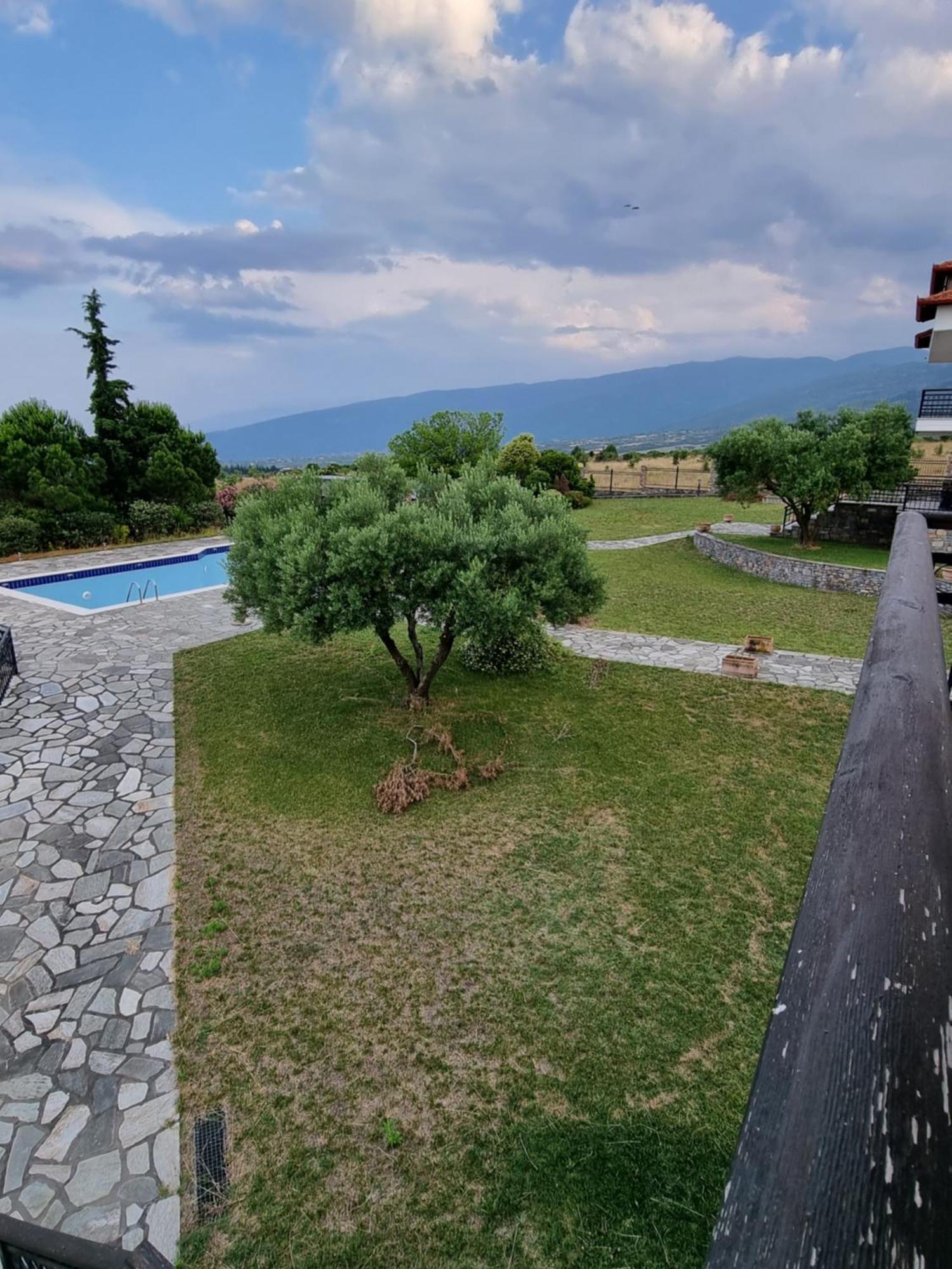 Olympus Pantheon Luxury Villas Leptokaryá Ngoại thất bức ảnh
